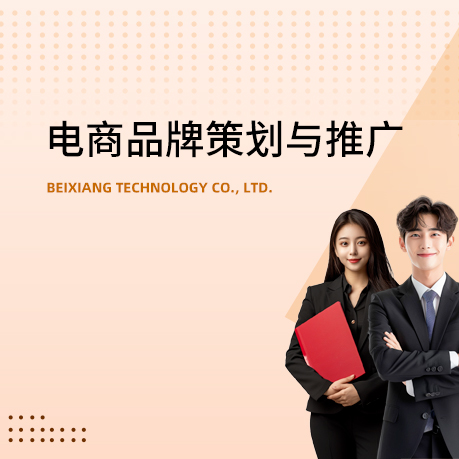 电商品牌策划与推广